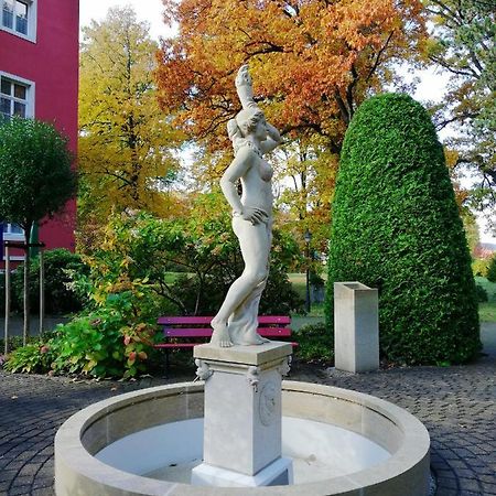 Parkhotel Bad Schandau Mit Spa Exterior foto